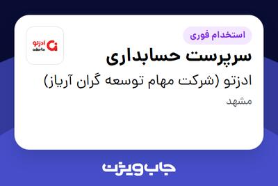 استخدام سرپرست حسابداری در ادزتو (شرکت مهام توسعه گران آریاز)