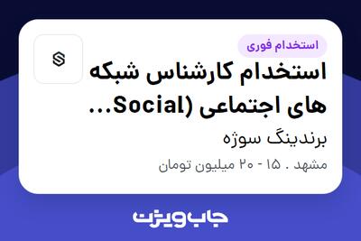 استخدام استخدام کارشناس شبکه‌ های اجتماعی (Social Media) در برندینگ سوژه