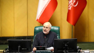 قالیباف: با همراهی دولت مشکلات مربوط به کالاهای اساسی و کشاورزان را رفع می‌کنیم