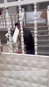 فیلم لحظه وحشتناک حمله شیر به انسان
