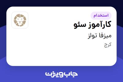 استخدام کارآموز سئو در میزفا تولز