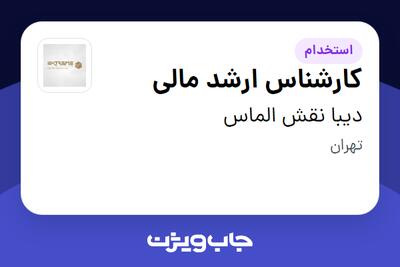 استخدام کارشناس ارشد مالی در دیبا نقش الماس