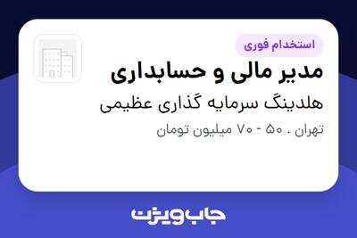 استخدام مدیر مالی و حسابداری در هلدینگ سرمایه گذاری عظیمی