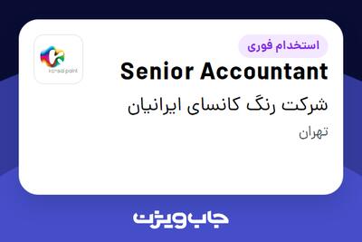 استخدام Senior Accountant در شرکت رنگ کانسای ایرانیان