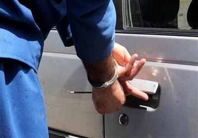 کاهش 19 درصدی سرقت‌ها در کشور - تسنیم