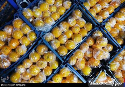 قیمت عمده فروشی میوه و صیفی در تهران اعلام شد
