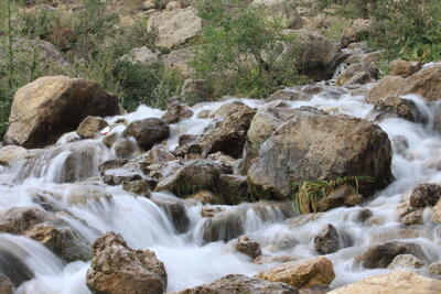 گل‌گشتی خاطره انگیز در خنکای شهرستان دنا