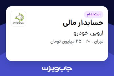 استخدام حسابدار مالی در اروین خودرو
