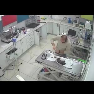 فیلم اقدام عجیب سگ برای نجات توله بیمار