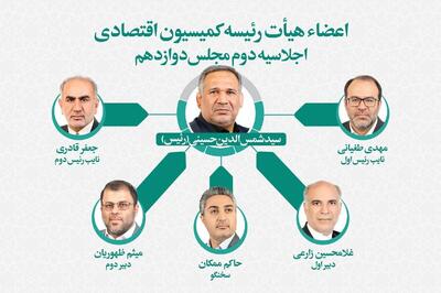 اعضای هیئت‌رئیسه کمیسیون اقتصادی مجلس انتخاب شدند | «میثم ظهوریان»، نماینده مردم مشهد، دبیر کمیسیون شد