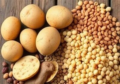 ابلاغ ممنوعیت صادرات حبوبات به گمرکات سراسر کشور - تسنیم