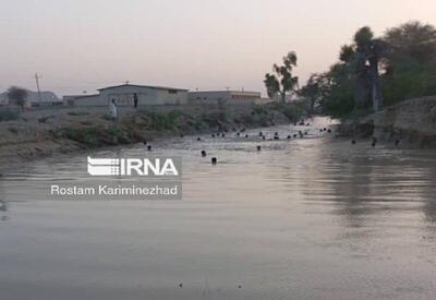 ۵ نفر در کانال های انتقال آب کشاورزی دشتستان بوشهر دچار غرق شدگی شدند
