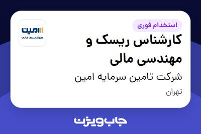 استخدام کارشناس ریسک و مهندسی مالی در شرکت تامین سرمایه امین