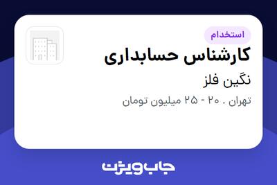استخدام کارشناس حسابداری در نگین فلز