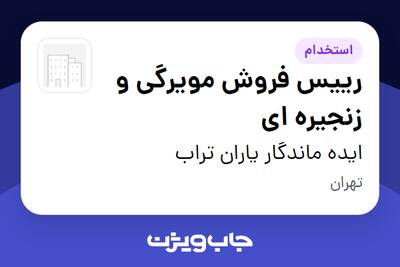 استخدام رییس فروش مویرگی و زنجیره ای در ایده ماندگار یاران تراب