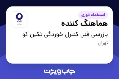 استخدام هماهنگ کننده در بازرسی فنی کنترل خوردگی تکین کو