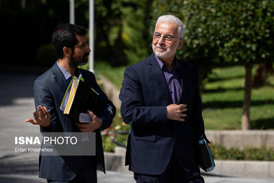 ۸۰۰ هزار اتباع غیرمجاز از کشور خارج شده‌اند