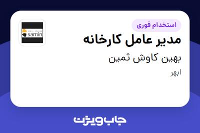 استخدام مدیر عامل کارخانه - آقا در بهین کاوش ثمین