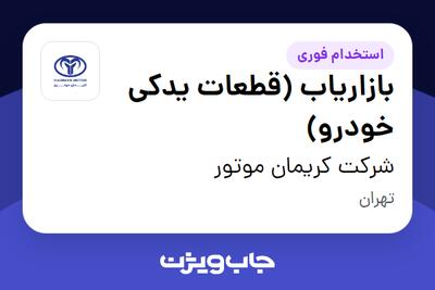 استخدام بازاریاب (قطعات یدکی خودرو) - خانم در شرکت کریمان موتور