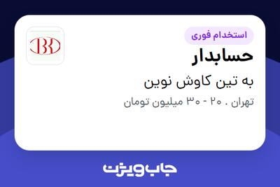 استخدام حسابدار در به تین کاوش نوین