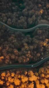 جاده زیبای سیاهکل به دیلمان در فصل پاییز+ فیلم