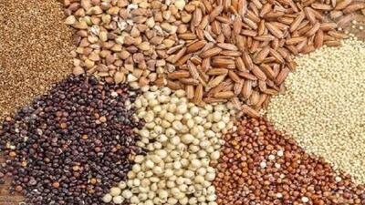 تداوم حمایت از دامداران