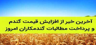 آخرین خبر از پرداخت مطالبات گندمکاران صبح جمعه ۲۷ تیر/ قیمت جدید گندم بالاخره مشخص شد