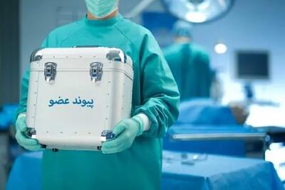 اهدای عضو بانوی جوان رفسنجانی به ۳‌ بیمار زندگی دوباره بخشید