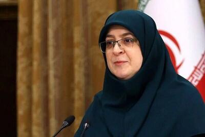 مهاجرانی: بحث اینترنت طبقاتی نبوده و نخواهد بود