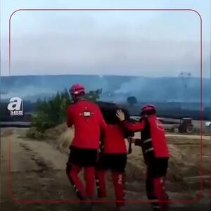 نجات گوسفند گرفتار مانده در آتش