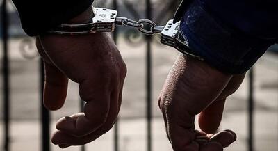 دستگیری ۸۷ نفر به اتهام خرابکاری در لرستان | جهان نیوز