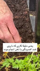 این  مدل لمس کردن؛ کلید طلایی رهایی از افسردگی و  اضطراب است + فیلم