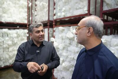 بازدید استاندار کرمانشاه از سردخانه بزرگ قصرشیرین