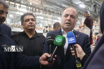 برنامه وزارت جهاد کشاورزی؛ خودکفایی در تولید گوشت قرمز تا پایان دولت چهاردهم