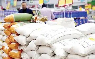رئیس انجمن برنج: کاهش قیمت برنج ایرانی با آغاز فصل برداشت شدت می‌گیرد