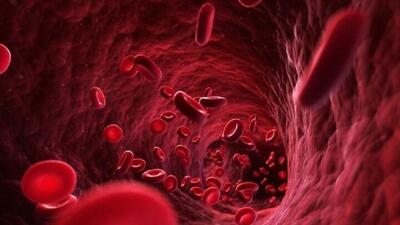خوراکی های طبیعی رقیق کننده خون را بشناسید - سبک ایده آل
