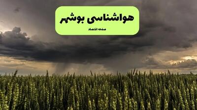 هشدار هواشناسی بوشهر: فردا دمای هوا به ۵۲ درجه می‌رسد | رطوبت ۹۰ درصد و وزش بادهای شدید