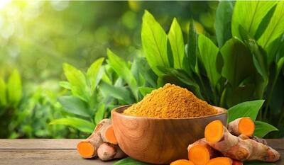 مصرف منظم زردچوبه خطر ابتلا به آلزایمر را کاهش می‌دهد