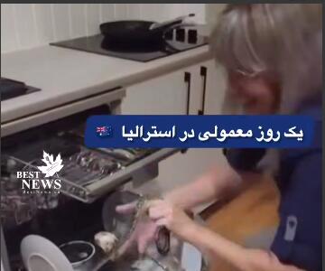 یک روز معمولی در استرالیا