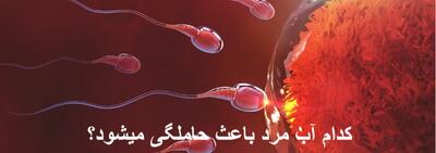 کدام آب مرد باعث حاملگی میشود؟ آیا آب اولیه مرد (پیشاب) باعث حاملگی میشود؟