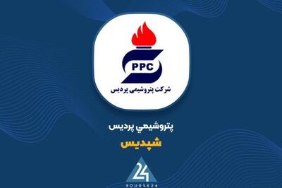 «شپدیس» 9 ماهه را چگونه سپری کرد؟