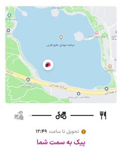 عکس/ پیک موتوری به دلیل اختلال GPS غرق شد! | اقتصاد24