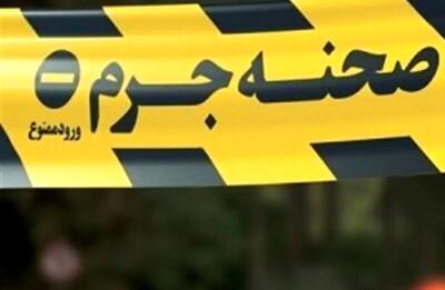پیرزن تهرانی قربانی اعتماد کور به مستخدم جوان شد