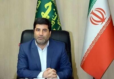 کاهش قیمت تمام‌شده تولید محصولات کشاورزی راهبردی بنیادین برای امنیت غذایی پایدار است