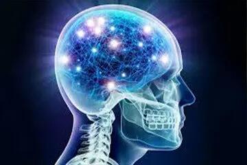 این نوشیدنی پرطرفدار فرآیند مغز را مختل می‌کند