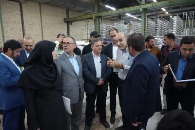 استاندار زنجان: توسعه صنایع کوچک از اولویت‌های مدیریت استان است