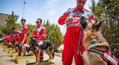 مرکز آنست کجاست؟ +تصاویر | جهان نیوز