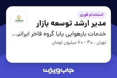 استخدام مدیر ارشد توسعه بازار در خدمات بارهوایی پایا گروه فاخر ایرانیان (تی اکسپرس)