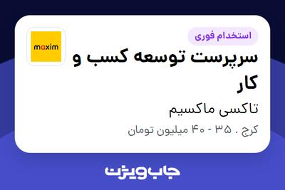 استخدام سرپرست توسعه کسب و کار - آقا در تاکسی ماکسیم