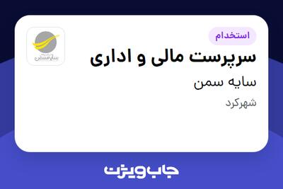 استخدام سرپرست مالی و اداری در سایه سمن